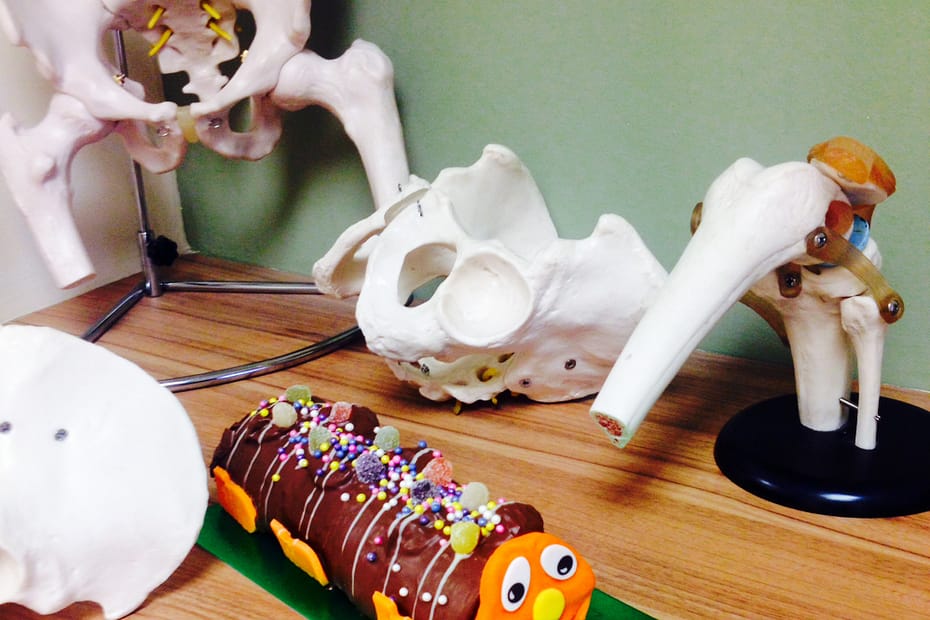 Midlothian Physiotherapy LLP Birthday Photo